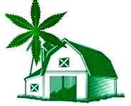 grassrootspharmllc.com